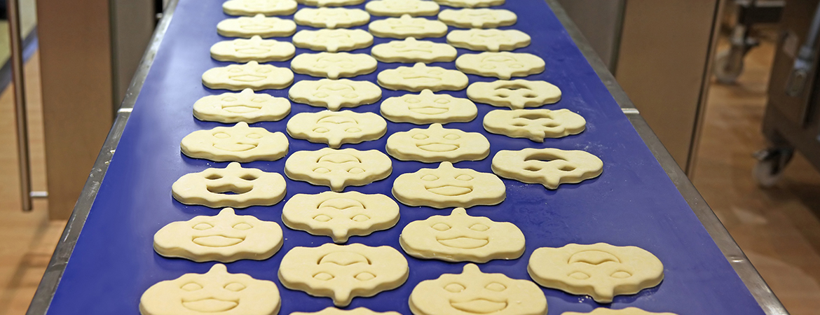 conar-panoramico-n88